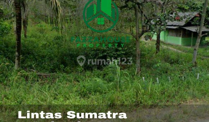 Tanah Siap Bangun Lokasi Di Pinggir Jalan Lintas Sumatra Palembang Lampung 1