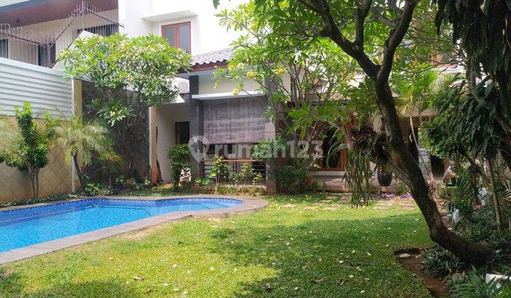 For Rent House Disewakan Cepat Rumah Cantik Minimalis Private Pool Garden Bisa Furnish Atau Semi Furnish Harga Nego Area Prime Sekitaran Kemang Dalam Kemang Jakarta Selatan