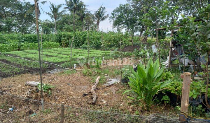 Tanah Strategis Di Kampung Balong Sambi Tambelang 2