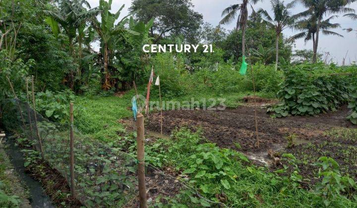 Tanah Strategis Di Kampung Balong Sambi Tambelang 1