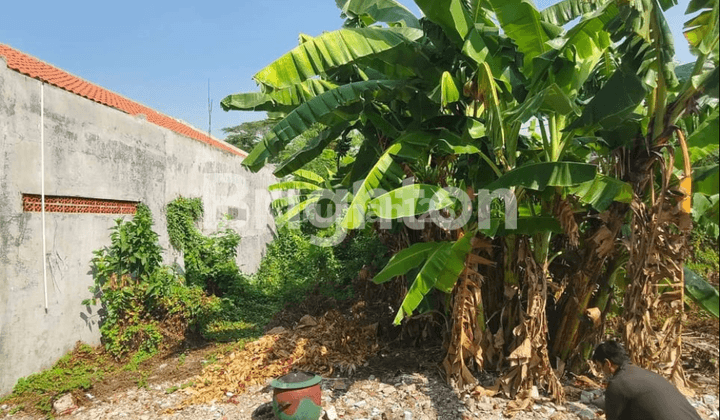 Murah Tanah Kavling Di Pondok Maritim Wiyung 2