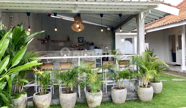 Guesthouse For Sale (Freehold) in Canggu Subak Daksina, 8 Minutes to Canggu Beach Guesthouse For Sale (Freehold) in Canggu Subak Daksina, 8 Minutes to Canggu Beach