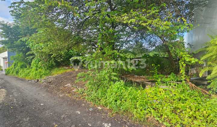 Land For Sale On Canggu Batu Bolong Main Road Land For Sale On Canggu Batu Bolong Main Road