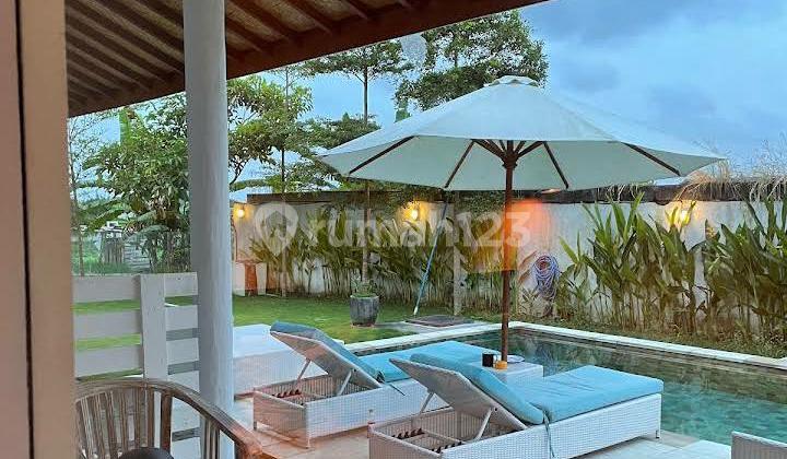 Leasehold Guesthouse in Subak Daksina Canggu