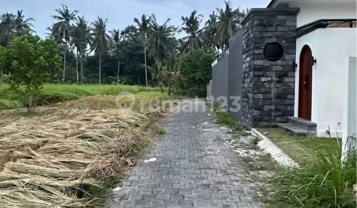 Villa Brand New For Sale At Lotunduh Ubud