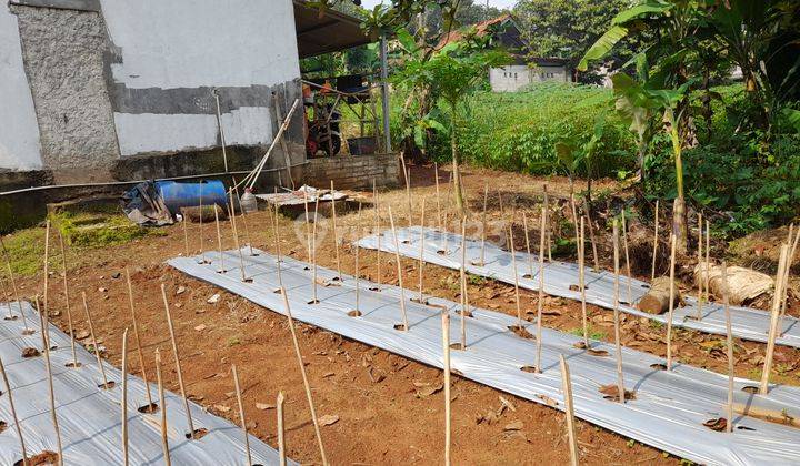 Jual Tanah Di Cidokom Parung di Jl. Kp. Cidokom, Cidokom, Kec. Gn. Sindur, Kabupaten Bogor, Jawa Barat, Parung AJB 2