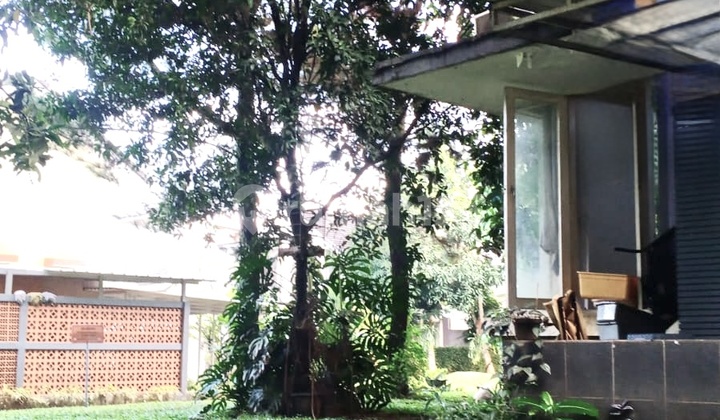 House Below Market Price in the Nusa Loka BSD Cluster, Next to the Park