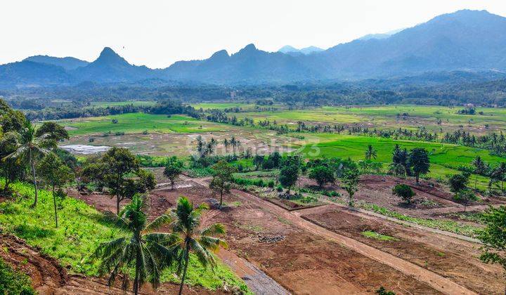 Tanah Kavling Murah View Sawah Dan Pegunungan Bogor 1