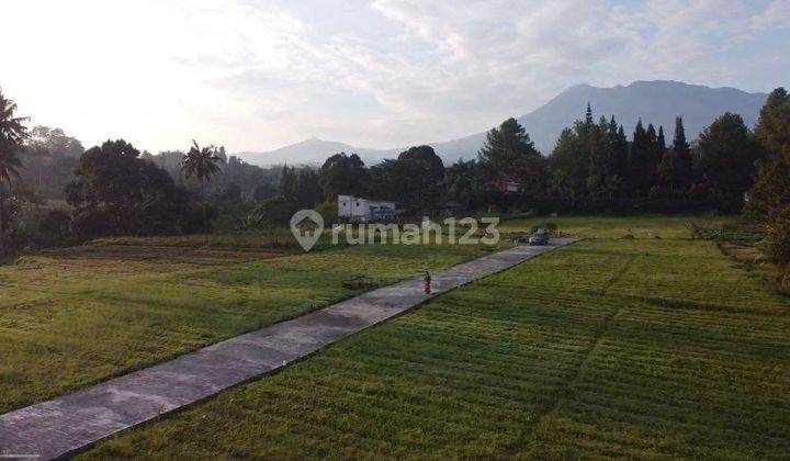 Tanah Kavling Villa di Puncak Bogor Dekat Taman Safari 2