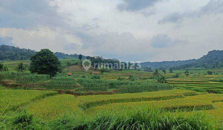 Tanah Sawah Nempel Sungai Cocok untuk Villa Ubud Bali 2