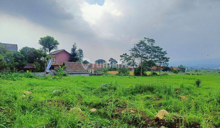 Tanah Strategis Selangkah ke Exit tol dan Stasiun Cigombong 1