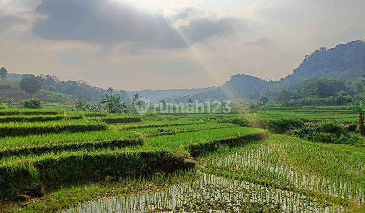 Kavling Sawah Nempel Sungai Akses Masuk Mobil 2