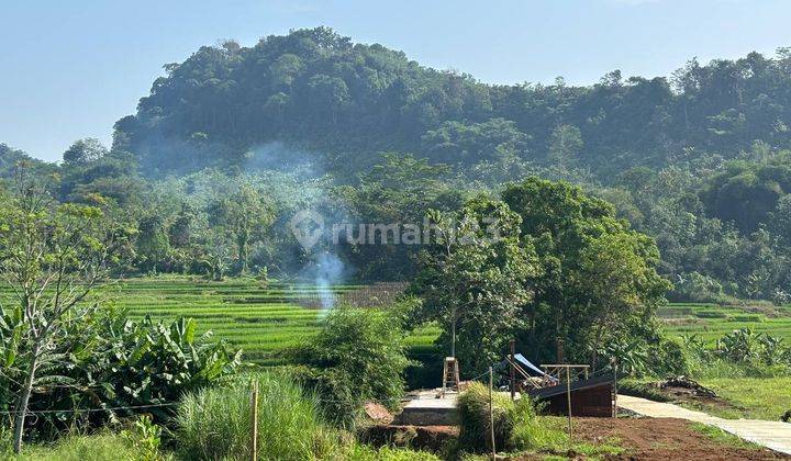 Tanah Murah di Kawasan Wisata Bogor Buat Villa Kebun 1