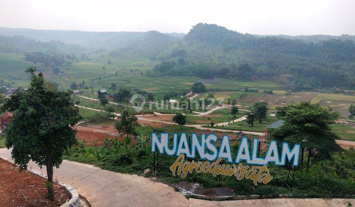 Tanah Murah 500 Ribuan Per meter Di Kawasan Agroeduwisata Bogor  1