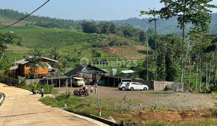 Tanah Murah di Kawasan Wisata Bogor 500 ribuan / meter 2