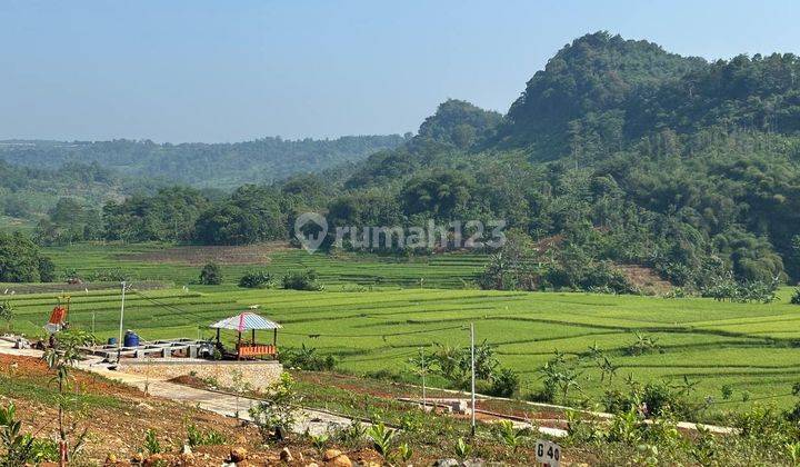 Tanah Murah di Kawasan Wisata Bogor 500 ribuan / meter 1