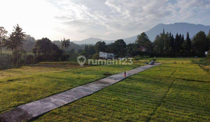 Tanah Kavling Villa di Puncak Bogor Free SHM 2