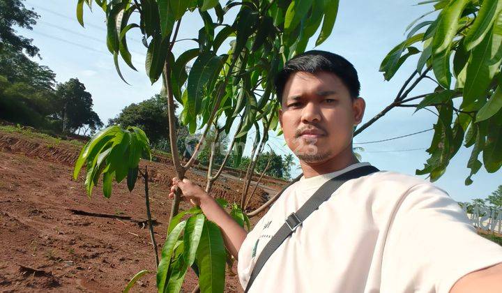 Tanah Kavling Komersil Nempel Fasum Dan Jalan Utama  1