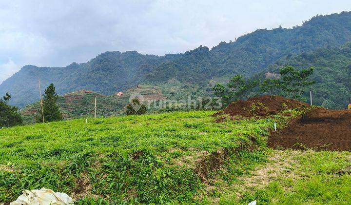 Tanah SHM Dekat Rawa Gede Bisa Bangun Villa Atau Rumah 2