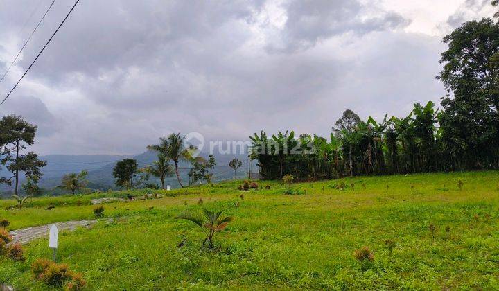 Tanah Shm 285 Meter Bisa Bangun Villa Permanen 2