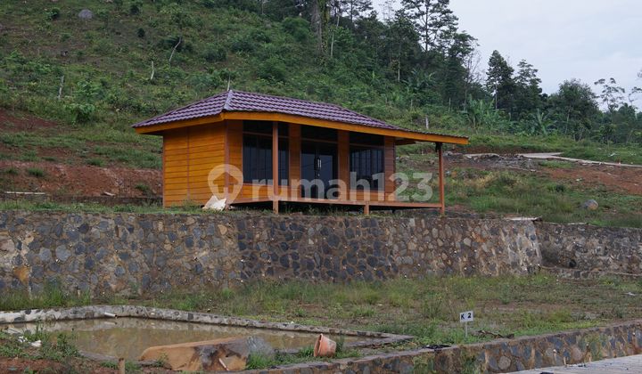 Tanah Kebun Di Tanjungsari Bogor Cocok Untuk Vila Dan Kebun