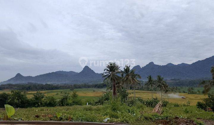 Tanah MURAH Akses Langsung Jala Raya Provinsi Di Bogor 