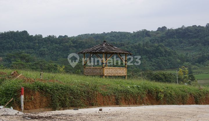 Tanah Kebun Di Tanjungsari Bogor Cocok Untuk Vila Dan Kebun