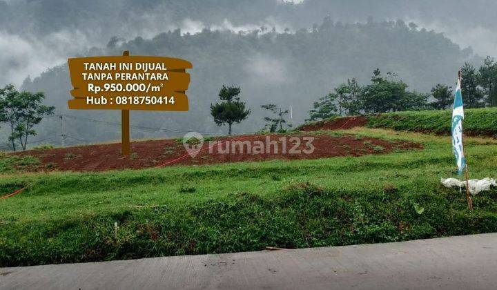 Tanah Murah Puncak 2 Ketinggian 1000 Mdpl SHM 1