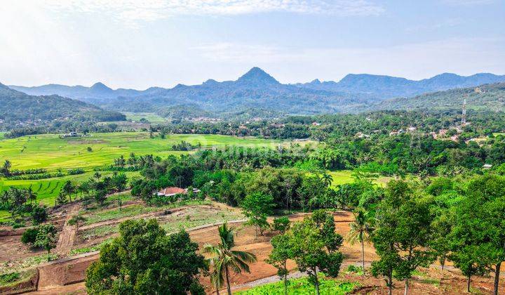 Tanah Kavling Murah View Sawah Dan Pegunungan Bogor 2