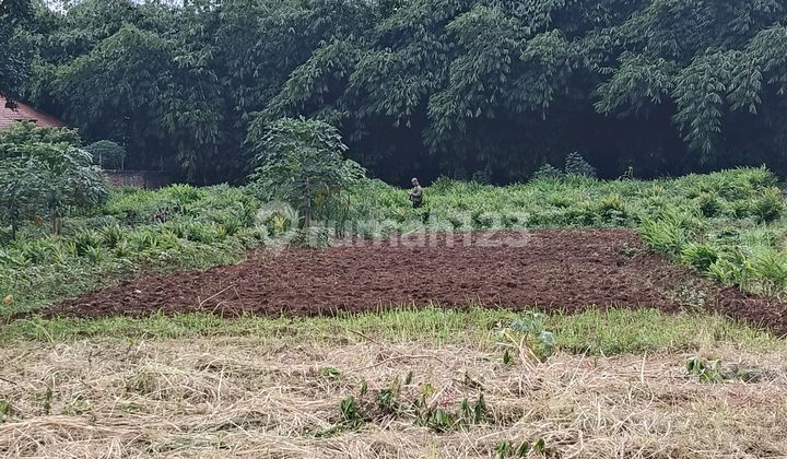 Jual Tanah Siap Bangun di Setu Dekat Harvest Jual Tanah Siap Bangun di Setu Dekat Harvest