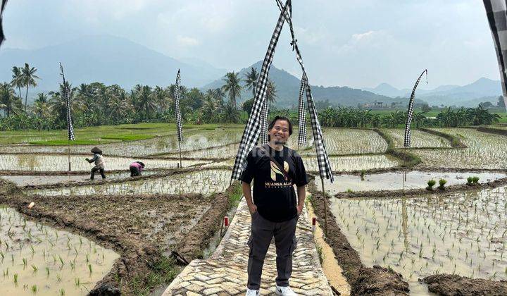 Tanah Sawah Murah Akses Mobil Air Melimpah Di Bogor 1