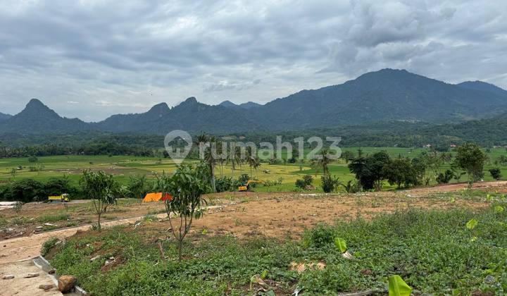 Tanah Kavling Siap Bangun 400 Meter Akses Jalan Provinsi Tanah Kavling Siap Bangun 400 Meter Akses Jalan Provinsi