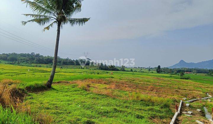 Tanah Kavling Villa Kebun 1000 Meter Akses Mobil SHM 2