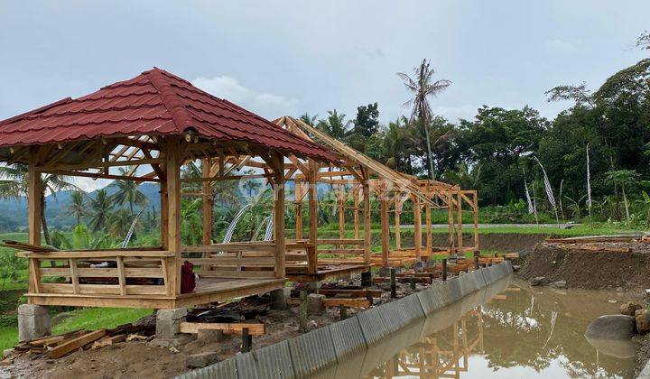 Tanah Sawah 400 Meter Akses Mobil Masuk  2