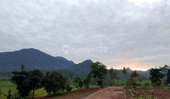 Tanah MURAH Akses Langsung Jala Raya Provinsi Di Bogor 