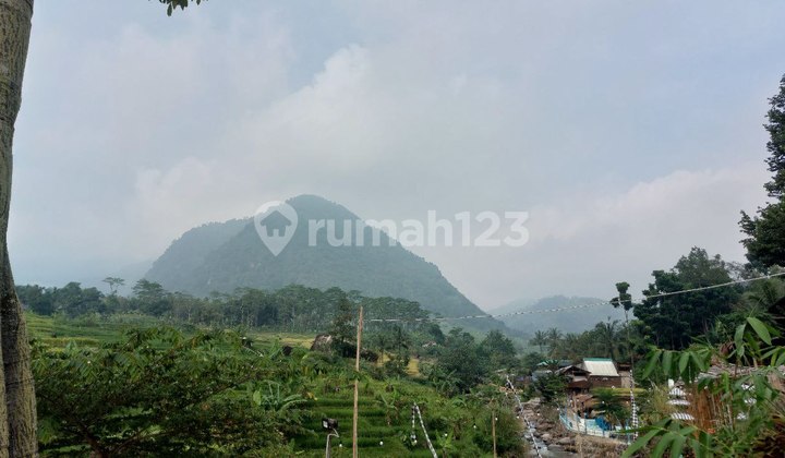Tanah SHM di Sukamakmur, Bogor Luas 500 Meter Akses Mobil
