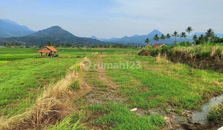 Tanah Kavling Villa Kebun 1000 Meter Akses Mobil SHM 2