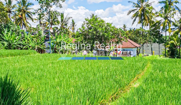 Regina Realty, Dijual Bangunan dan Tanah, Ubud Bali Regina Realty, Dijual Bangunan dan Tanah, Ubud Bali