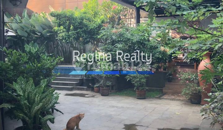 Regina Realty, Dijual Rumah Mewah Etnik Modern Jagakarsa  2