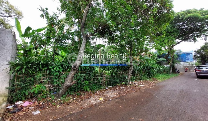 Regina Realty, Land for Sale in Jagakarsa, South Jakarta