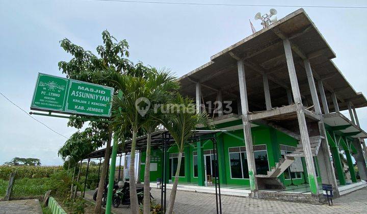 Rumah Murah Cukup 100 Ribu Saja, Stock Terbatas  2