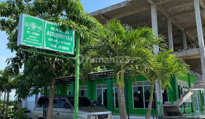 Perumahan HGB di Griya Syahfalah Dijual 100 Ribu 1