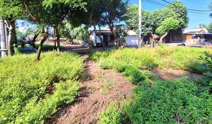 3000sqm Pristine Flat Land Gili Meno Gp0109 2