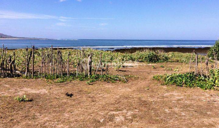 Prime Beachfront Land For Sale In Sumbawa Gp0309 2