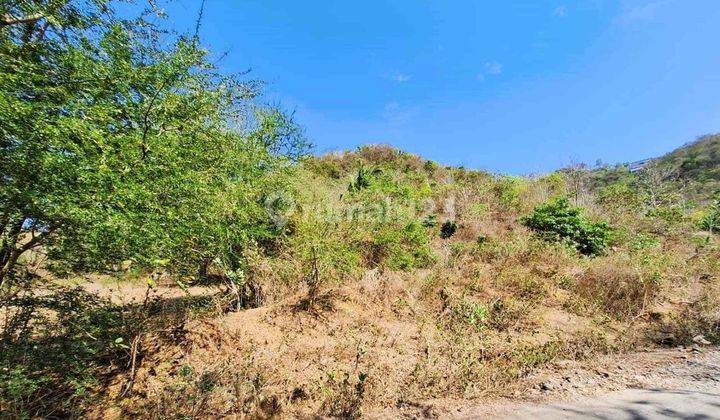 Land For Sale In Selong Belanak Gp0229 2