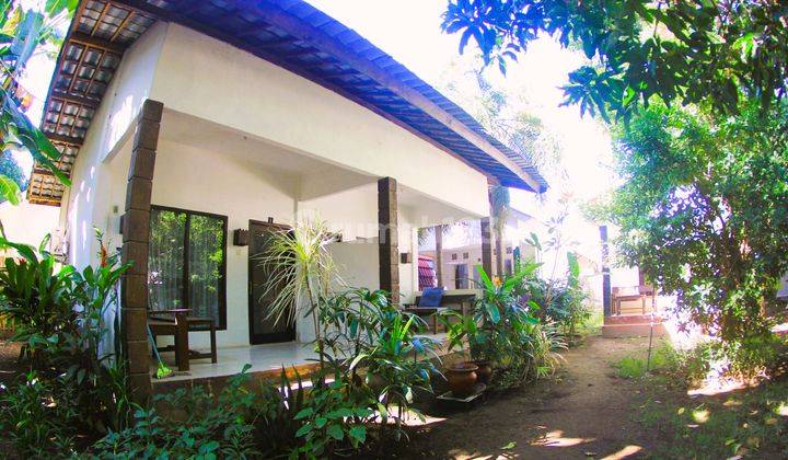 Tropical 5 homestay In Gili Air Gp0079 2