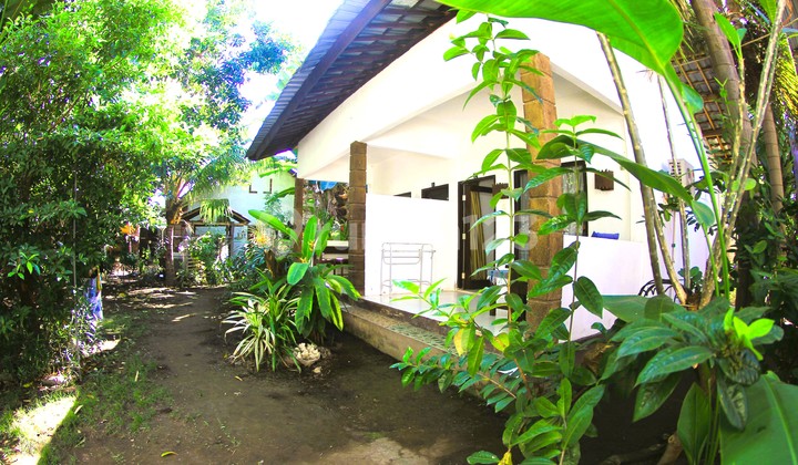 Tropical 5 homestay In Gili Air Gp0079 9