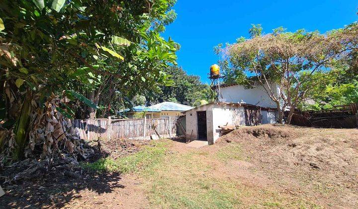 Lush And Spacious Land With 3 Villas And Swimming Pool Gp0082 20