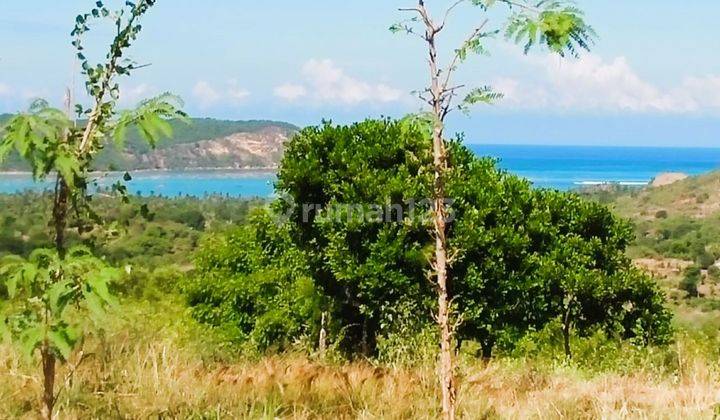 8843sqm Fantastic Land Kuta Gp0087 4