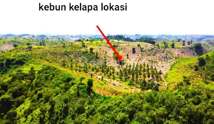 Super Amazing 16 hectare Land Gp0088 10